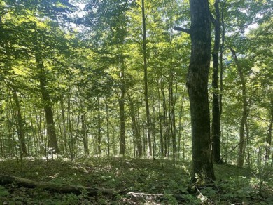 2 Unrestricted Lake Cumberland Lake View, Lake Front Acres - photo 8