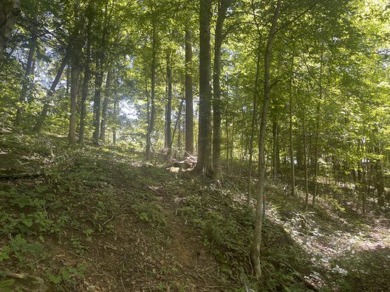 2 Unrestricted Lake Cumberland Lake View, Lake Front Acres - photo 9