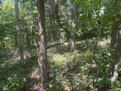 2 Unrestricted Lake Cumberland Lake View, Lake Front Acres - photo 10