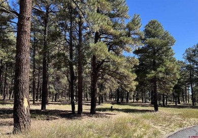 Lake Lot For Sale in Pagosa Springs, Colorado