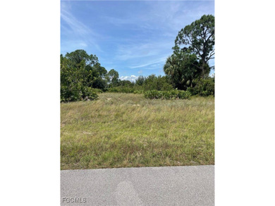 Lehigh Acres Area Lot For Sale in Lehigh Acres Florida