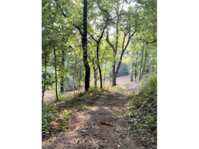 Chickamauga Lake Acreage For Sale in Hixson Tennessee