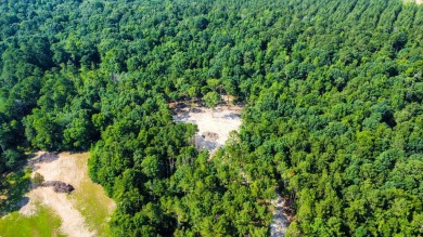 Lake Acreage For Sale in Lincolnton, Georgia