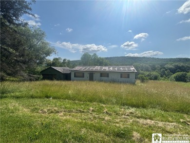 Lake Home For Sale in Scio, New York