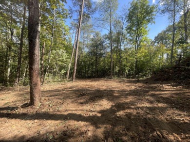 Lake Cumberland Acreage For Sale in Somerset Kentucky