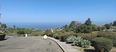 Views, Views, Views of the Pacific Ocean stretching to Malibu - photo 1