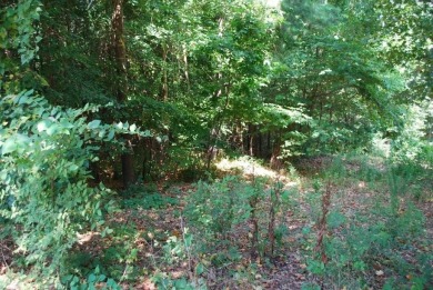 Lake Lot For Sale in Bella Vista, Arkansas