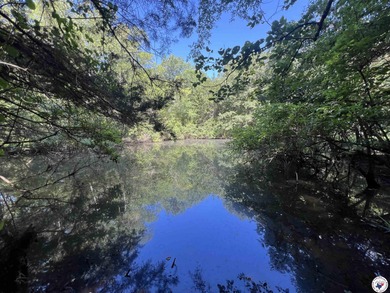 (private lake, pond, creek) Acreage For Sale in Dekalb Texas