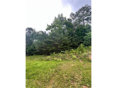 Lake Lot Sale Pending in White, Georgia