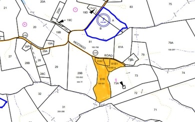 Privately located Partially wooded 21+ acres includes 4 parcels - photo 4