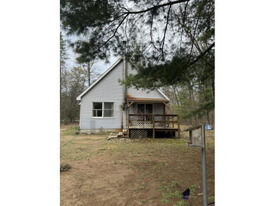 Round Lake - Manistee County Home For Sale in Wellston Michigan