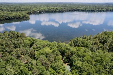 Great building site on Horsehead Lake! .73 Acre Lot with 73' of - photo 6