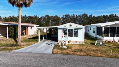 Lake Home For Sale in Leesburg, Florida