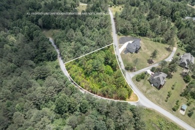 Lake Lot For Sale in Blairsville, Georgia
