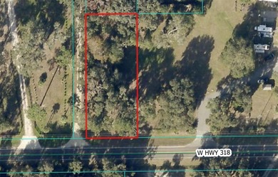 Orange Lake Lot For Sale in Citra Florida
