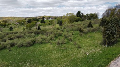Dreaming of building at Dutch Hollow Lake? This beautiful, easy - photo 5