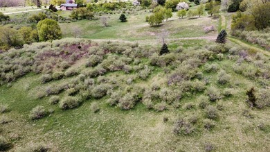 Dreaming of building at Dutch Hollow Lake? This beautiful, easy - photo 8