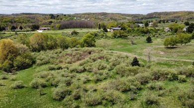 Dreaming of building at Dutch Hollow Lake? This beautiful, easy - photo 10