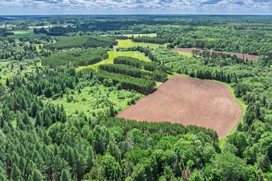 This exceptional Northwoods property offers 170+/- acres of - photo 5