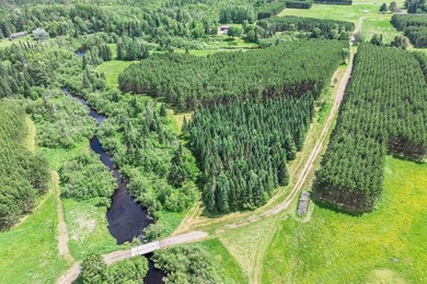 This exceptional Northwoods property offers 170+/- acres of - photo 6