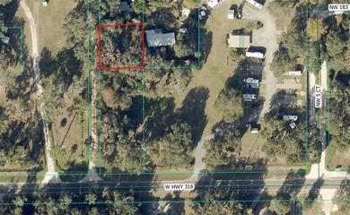 Orange Lake Lot For Sale in Citra Florida