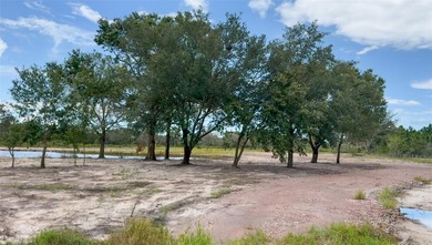 5.14 Acres CLEARED!!! with 2 Ponds - Ready to Build!
Don't miss - photo 5