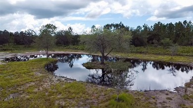 5.14 Acres CLEARED!!! with 2 Ponds - Ready to Build!
Don't miss - photo 8