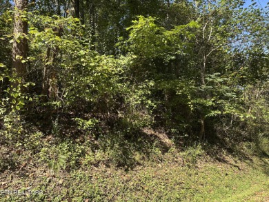 Lake Lot For Sale in Lafollette, Tennessee