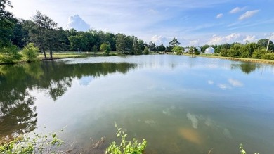 Country living at its finest with all the amenities you could - photo 38