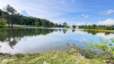 Country living at its finest with all the amenities you could - photo 40