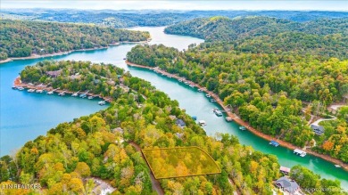 Norris Lake Lot For Sale in Jacksboro Tennessee