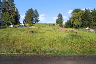 Silver Lake - Spokane County Lot For Sale in Medical Lake Washington