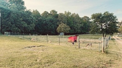 Country living at its finest with all the amenities you could - photo 42