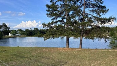 Country living at its finest with all the amenities you could - photo 43