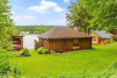 (private lake, pond, creek) Home Sale Pending in Berne New York