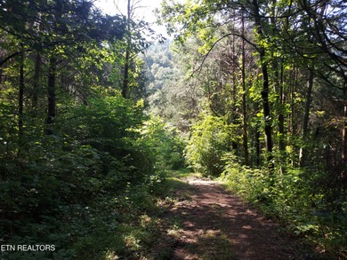 Clinch River - Hancock County Acreage Sale Pending in Thorn Hill Tennessee