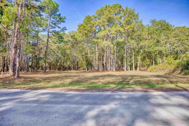 THIS IS A BEAUTIFUL PIECE OF PROPERTY 3.32 ACRES. BUILD YOUR - photo 3