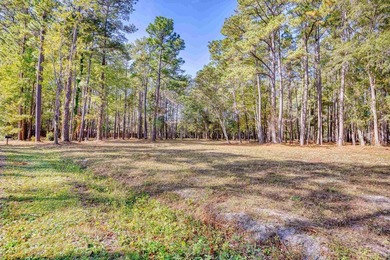 THIS IS A BEAUTIFUL PIECE OF PROPERTY 3.32 ACRES. BUILD YOUR - photo 4