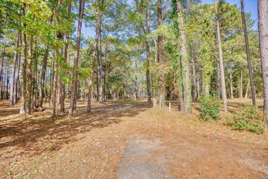 THIS IS A BEAUTIFUL PIECE OF PROPERTY 3.32 ACRES. BUILD YOUR - photo 5