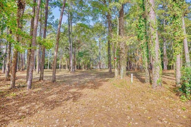 THIS IS A BEAUTIFUL PIECE OF PROPERTY 3.32 ACRES. BUILD YOUR - photo 6