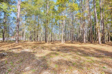 THIS IS A BEAUTIFUL PIECE OF PROPERTY 3.32 ACRES. BUILD YOUR - photo 8