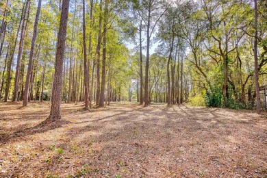 THIS IS A BEAUTIFUL PIECE OF PROPERTY 3.32 ACRES. BUILD YOUR - photo 9