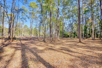 THIS IS A BEAUTIFUL PIECE OF PROPERTY 3.32 ACRES. BUILD YOUR - photo 10