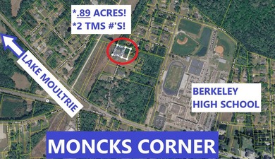 ***ALMOST 1 ACRE! ***TWO(2) TMS#'S!! -- UNDER $100K!*** POSSIBLE - photo 1