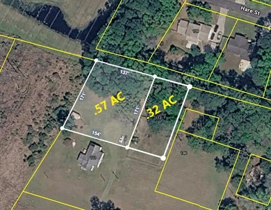 ***ALMOST 1 ACRE! ***TWO(2) TMS#'S!! -- UNDER $100K!*** POSSIBLE - photo 3