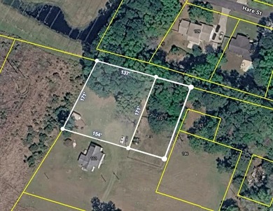 ***ALMOST 1 ACRE! ***TWO(2) TMS#'S!! -- UNDER $100K!*** POSSIBLE - photo 4