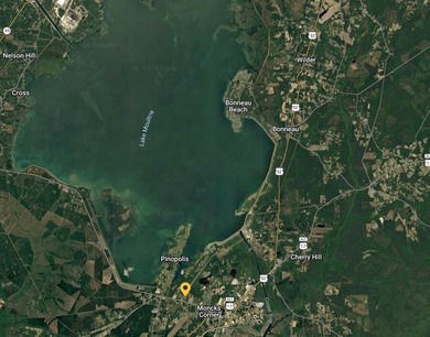 ***ALMOST 1 ACRE! ***TWO(2) TMS#'S!! -- UNDER $100K!*** POSSIBLE - photo 5