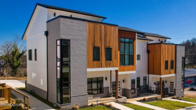 Lake Townhome/Townhouse For Sale in Knoxville, Tennessee