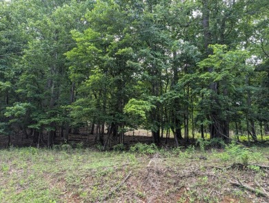 Smith Mountain Lake Lot For Sale in Hardy Virginia
