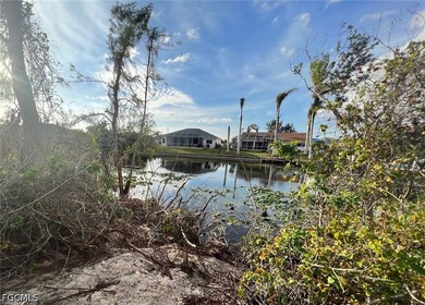 Oversized lot on a very large canal with a beautiful western - photo 4